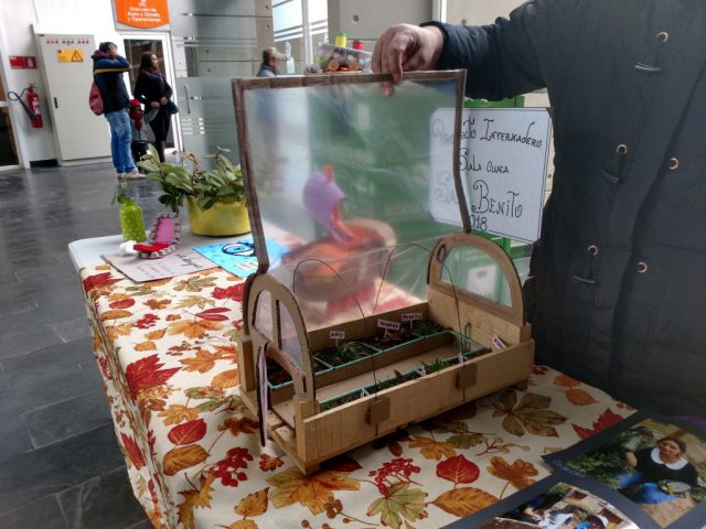 dia_medio_ambiente (2)