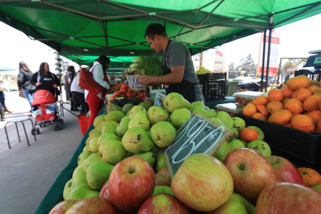 feria_campesina_oct_2018 (2)