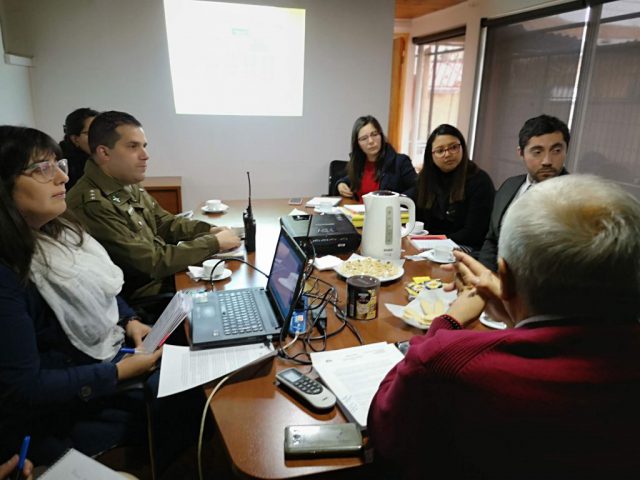 reunion_violencia_contra_mujer_jun_2019 (3)