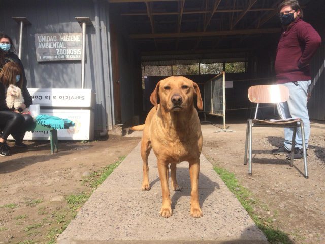 higiene_zoonosis_ago_2020 (2)