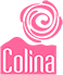 Municipalidad De Colina