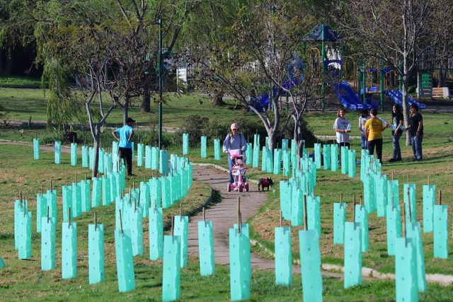 parque_san_miguel_sep_2022 (1)