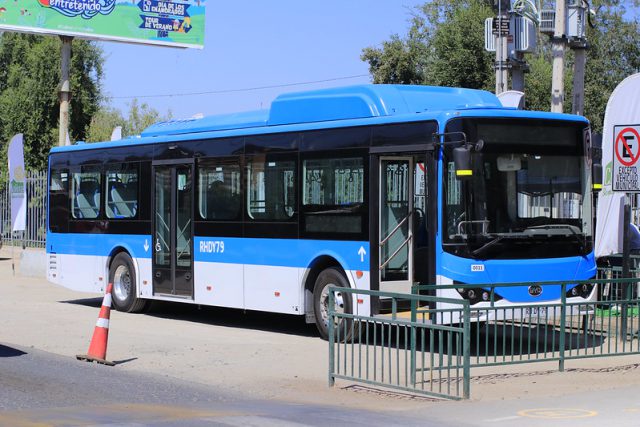 buses_electricos_ene_2025 (3)