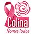 Municipalidad De Colina