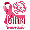 Municipalidad De Colina